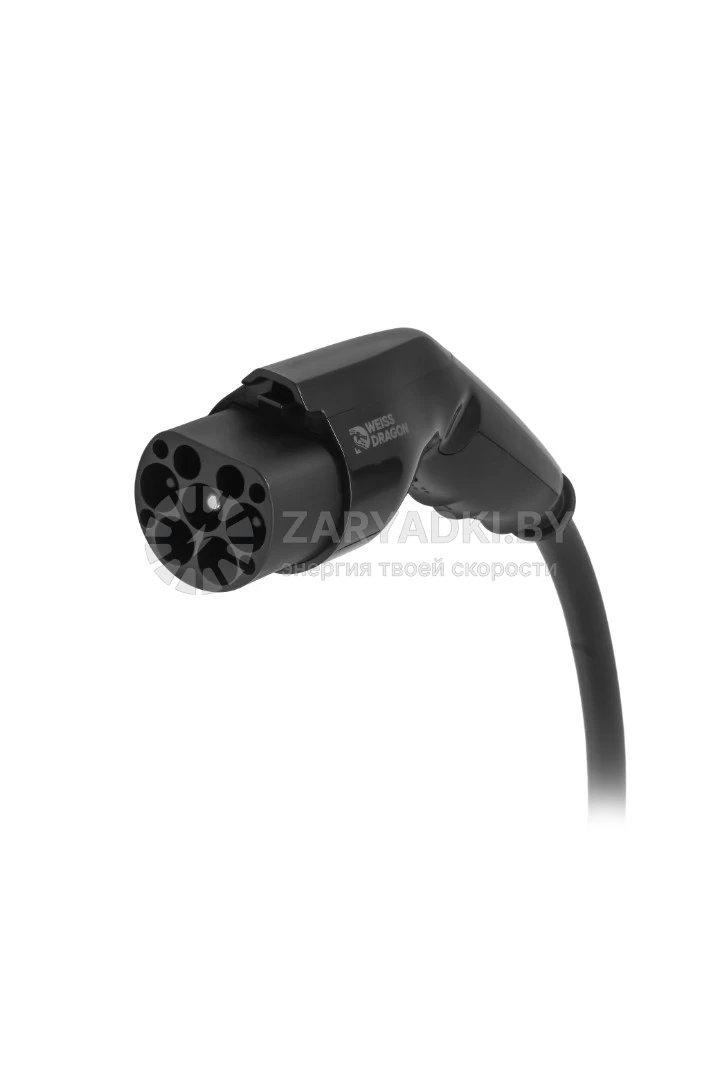 Зарядные станции для электромобилей Зарядная станция  Weiss Dragon Black (7,4 кВт) GB/T, приложение